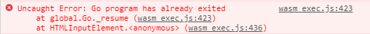 Program Error